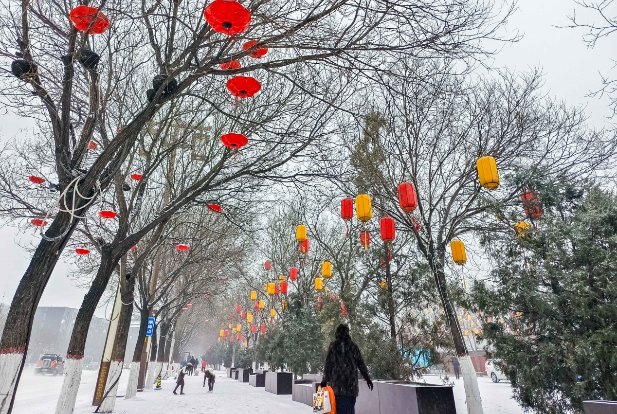 雪落青城 美景如画
